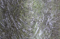 Kilton Thorpe fibreglass roof work